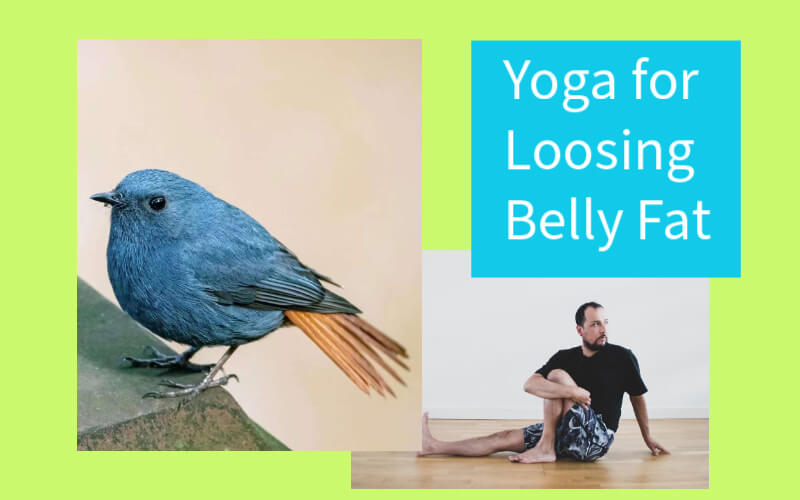 Yoga for belly reduction