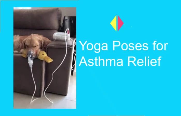 Yoga therapy for Asthma relief