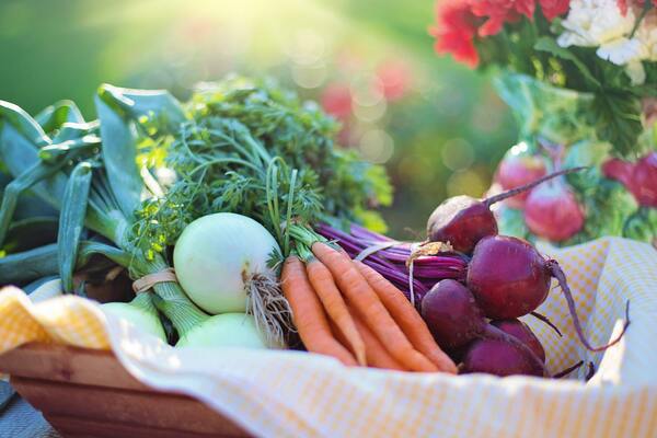 All about Vitamins