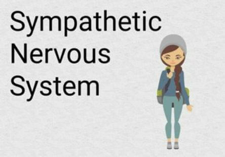 Yoga for Sympathetic Nervous System | Poses for Vagus Nerve
